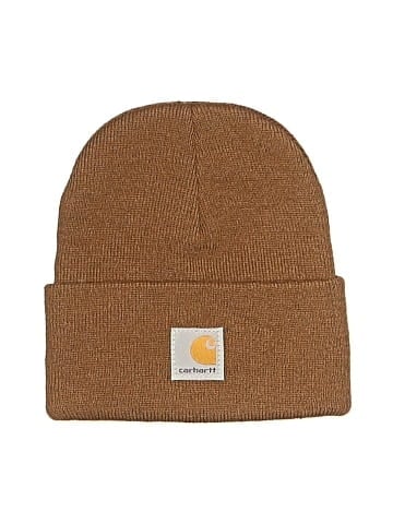 Carhartt Beanie (view 1)