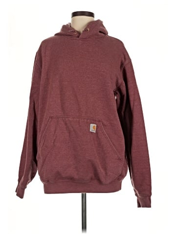 Carhartt Pullover Hoodie (view 1)