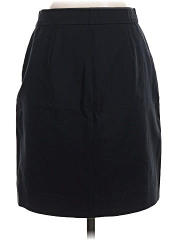 Everlane Casual Skirt (view 2)