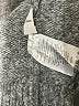Ann Taylor LOFT Gray Pullover Sweater Size L - photo 8