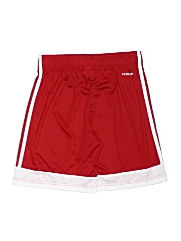Adidas Athletic Shorts (view 2)