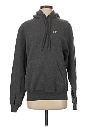 Champion Pullover Hoodie (view 1)