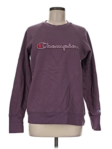 Champion Sweatshirt (view 1)