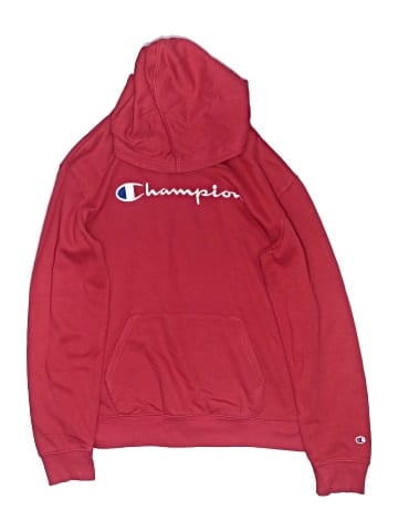 Champion Pullover Hoodie (view 1)