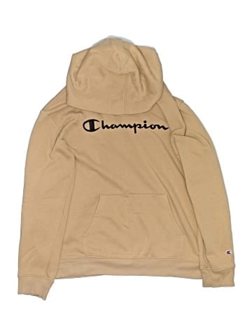 Champion Pullover Hoodie (view 1)