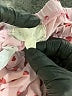 Btween Hearts Pink Casual Pants Size 5 - photo 3