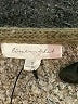 Line & Dot Tweed Gray Jacket Size S - photo 6