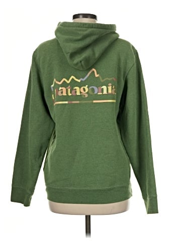 Patagonia Pullover Hoodie (view 2)