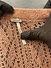 Free People Brown Long Sleeve Blouse Size S - photo 7