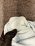 Lululemon Athletica Blue Leggings Size 6 - photo 8