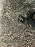 Zesica Floral Black Cocktail Dress Size S - photo 8