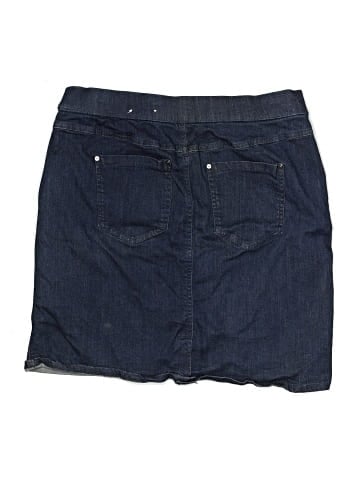 Intro Denim Shorts (view 2)