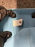 Lululemon Athletica Blue Active Pants Size 2 - photo 4