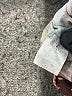 Patchington Paisley Brown Long Sleeve Blouse One size - photo 8