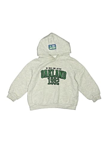 Zara Pullover Hoodie (view 1)