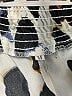 Unbranded Animal Print Ivory Shorts Size M - photo 3