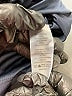 Vince Camuto Metallic Blue Cocktail Dress Size 6 - photo 9