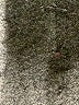 Ph8 Gray Tank Top Size XS - photo 8