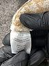 Left Coast by Dolan 100% Polyester Houndstooth Ivory Jacket Size L - photo 8