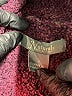Natural Reflections Burgundy Jacket Size S - photo 6
