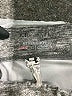 Under Armour Gray Sweatpants Size M (youth) - photo 3