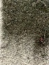 L.L.Bean 100% Cotton Gray Cardigan Size S - photo 10