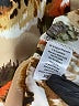 Lularoe Print Tan Casual Skirt Size XS - photo 5