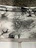 Pro Player Print Gray Active Pants Size XL - photo 7