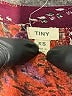 Tiny 100% Rayon Paisley Burgundy Casual Dress Size XS - photo 7