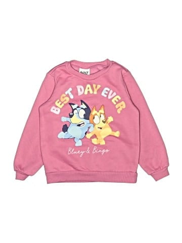 Bluey Long Sleeve T-Shirt (view 1)