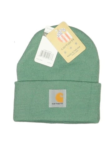 Carhartt Beanie (view 1)