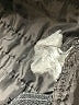 Kim Rogers Gray Dress Pants Size 8 - photo 8