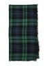 Unbranded Plaid Green Scarf One size - photo 2