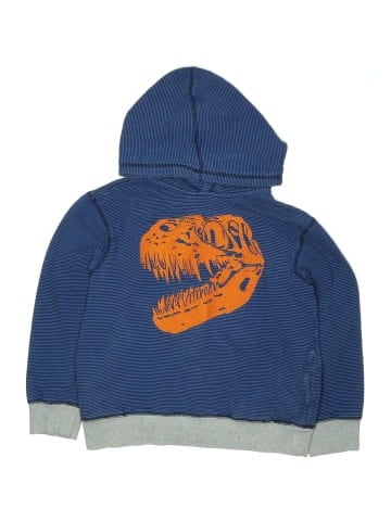 Gymboree Pullover Hoodie (view 1)