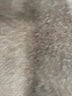 Champion 100% Polyester White Athletic Shorts Size XS - photo 3