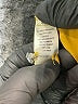 George Metallic Gold Long Sleeve Blouse Size S - photo 8
