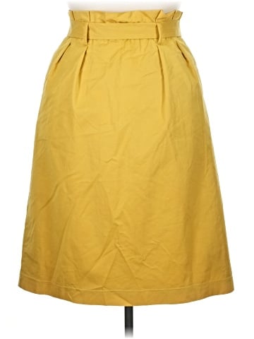 MORGAN by Morgan de Toi Casual Skirt (view 2)