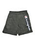 Champion 100% Polyester Graphic Gray Athletic Shorts Size M - photo 1