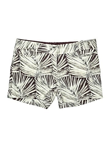 The Limited Shorts (view 1)