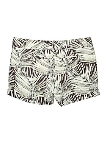 The Limited Shorts (view 2)