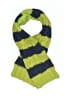 Baby Gap Stripes Green Scarf One size (toddler) - photo 1