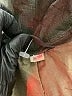 Unbranded 100% Leather Green Leather Jacket Size 13 (estimated) - photo 6