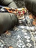 Unbranded 100% Viscose Paisley Blue Black Romper Size M - photo 4