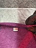 Unbranded Purple Short Sleeve Top Size 2X - photo 7