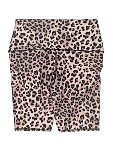 Evolution and Creation Shorts (view 2)