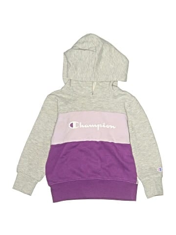 Champion Pullover Hoodie (view 1)