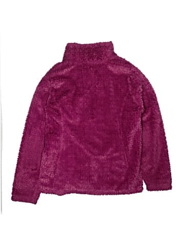 The North Face Jacket (view 2)