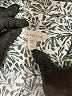 Garnet Hill Print Gray Long Sleeve Button-Down Shirt Size 10 - photo 7