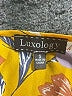 Luxology 100% Polyester Orange Short Sleeve Blouse Size S - photo 7