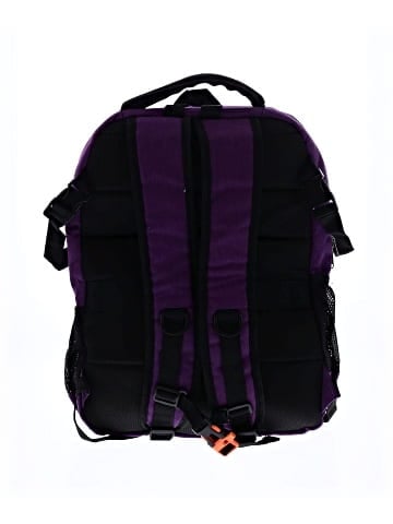 Assorted Brands Backpack (view 2)